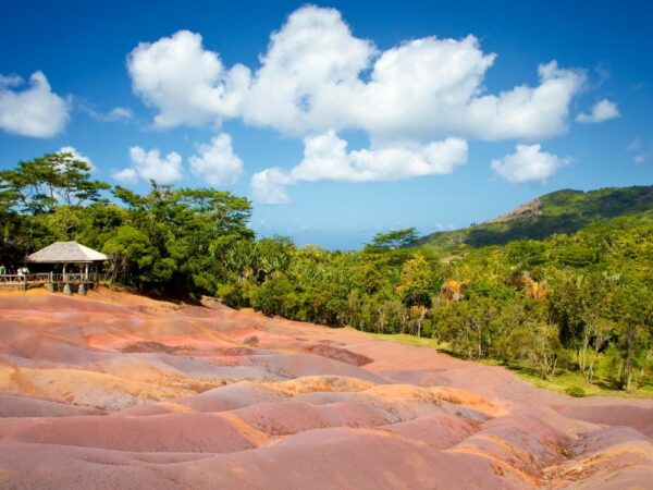 MAURITIUS 4619 PLN