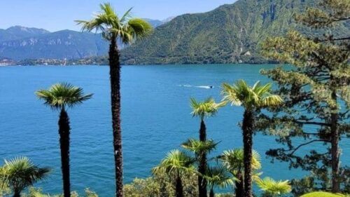 LAGO DI COMO 1739 PLN